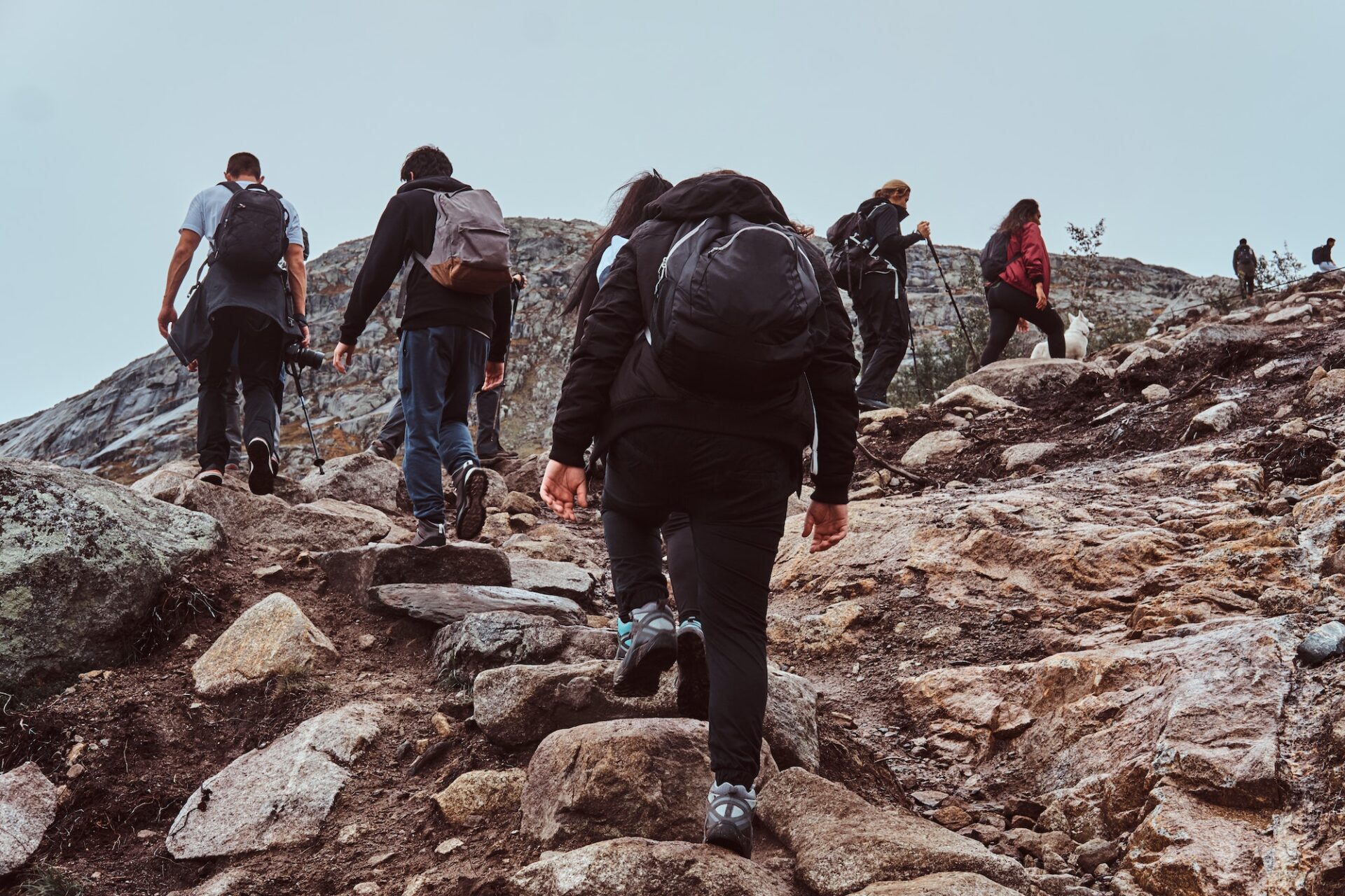 Group of hikers with backpacks, tracking in the mountains.