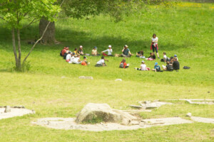 activités extérieurs dans le parc